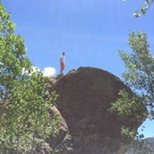 Brandon Terry's photo