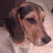 Stephanie Miller's photo