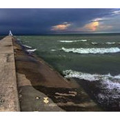 Joey Roesch's photo