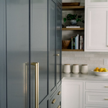 Built in Fridge and Freezer