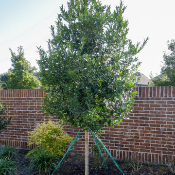 Privacy Screens
