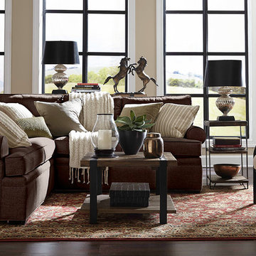 Transitional Style Living Room With Bold Accents