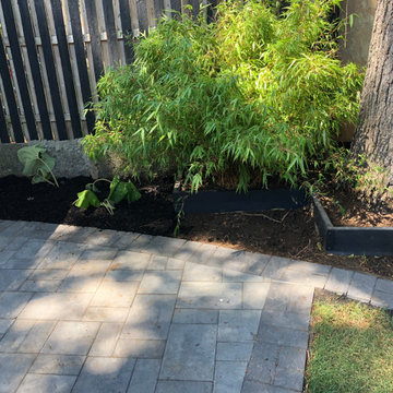 Englewood Shaded Garden