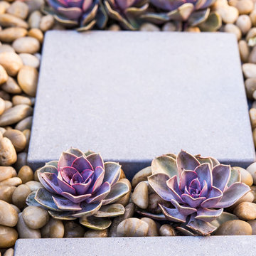 Modern Patio