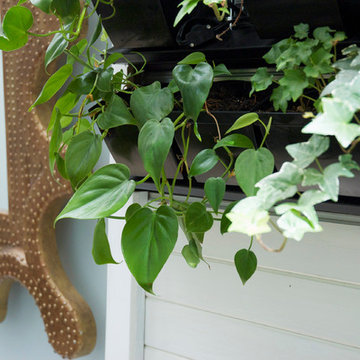 Greenwalls