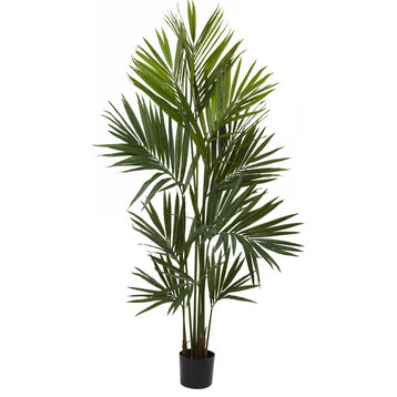 7' Kentia Palm Silk Tree