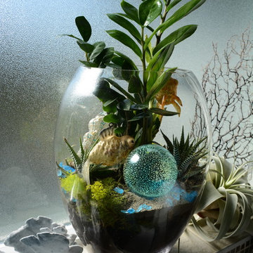 Terrariums