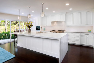 Kitchen - kitchen idea in Miami