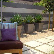 Side Yard