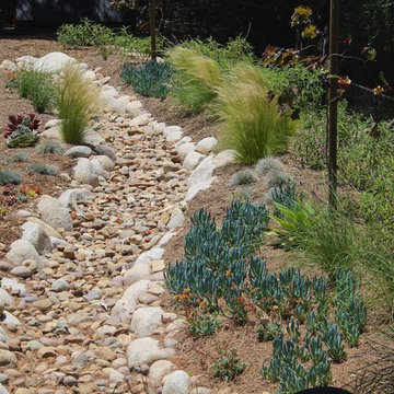 Water Wise Landscape Refresh (Clairemont Mesa)