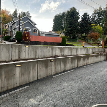 IN PROGRESS - PICNIC POINT-NORTH LYNNWOOD RESIDENCE