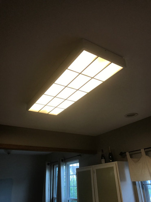 Save Me From My Fluorescent Kitchen Light   F282fa340a20df9f 3841 W500 H666 B0 P0   