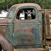 Tom Slager's photo