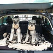 Lorraine Grattage's photo