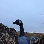 Stephen Anderson's photo