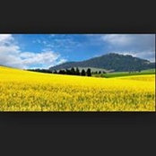 Carmela Sant's photo