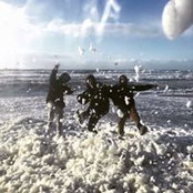 Romin Avak's photo