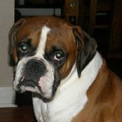 Leesa DeVay's photo