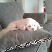 Carmen Delvalle's photo