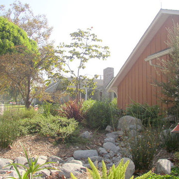 Dry streambed can be a beautiful element in a mediterranean garden