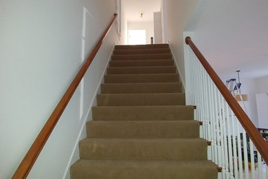 Свежая идея для дизайна: прямая лестница среднего размера в стиле шебби-шик с ступенями с ковровым покрытием и ковровыми подступенками - отличное фото интерьера