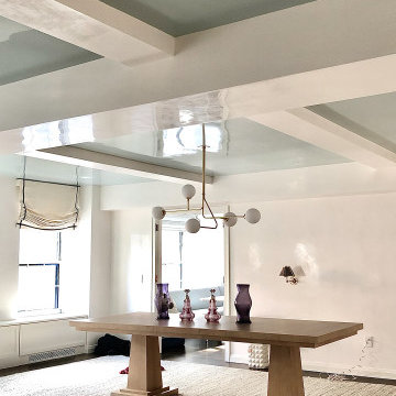 White Polished Venetian Plaster Walls with Fine Paints of Europe Brilliant Ceili