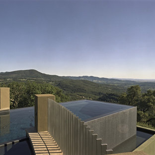 サンフランシスコのインダストリアルスタイルのおしゃれなインフィニティプールの写真