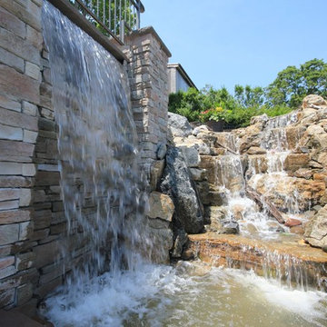 Pond Paradise Designs assorted photos