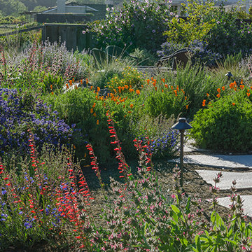 California Native Splendor