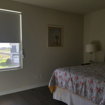 Blackout Roller Shade in Guest Bedroom