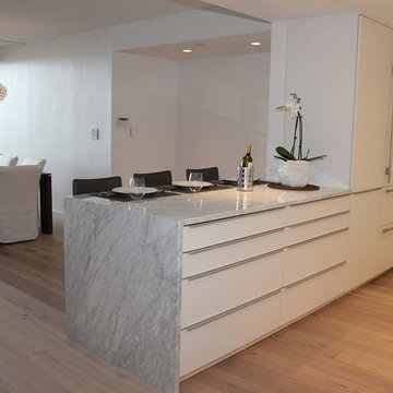 White Galley Kitchen