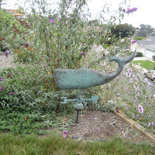 Backyard Landscaping