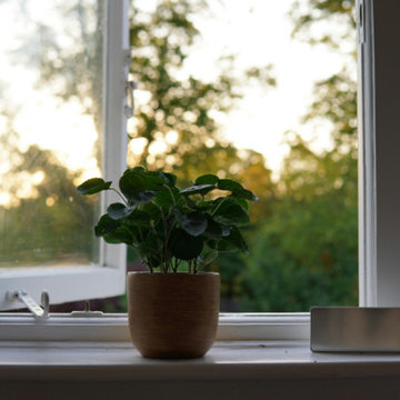 Artificial Plants: A Stylish and Low-Maintenance Solution for Modern Spaces