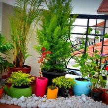 Up in the air: ideas for an apartment balcony