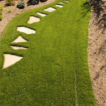 Walkway