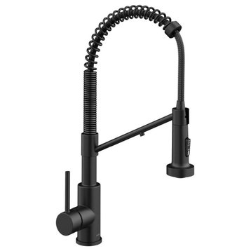 Modern Kitchen Faucet With Filter, One Handle & Pull Down Sprayer, Matte Black