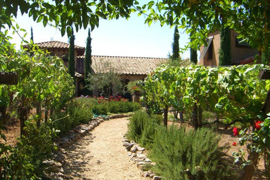 Photo of a mediterranean landscaping in San Francisco.