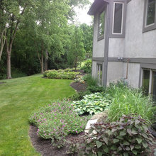 Landscape Ideas