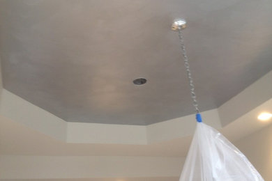Dining Room Silver Metallic Ceiling