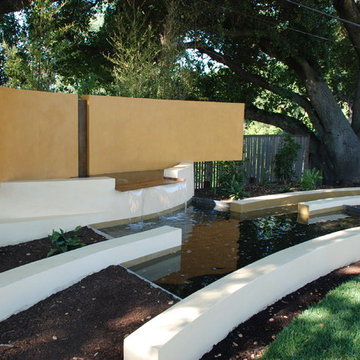 back yard design in saratoga
