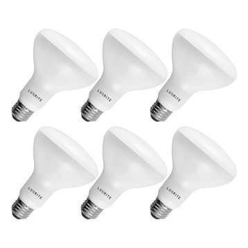 BR30 LED Flood Light Bulbs Soft White 650lm 9W E26 6-Pack