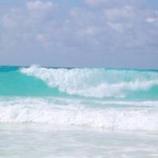 Ghislaine Taylor's photo