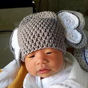 Amanda Ngan's photo