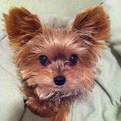 Debbi Knudsen's photo