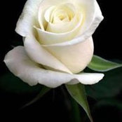 Maria Solis's photo