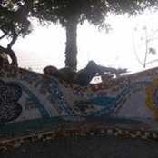 Alejandra Silva Bernedo's photo