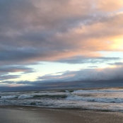 Monique Piceno's photo