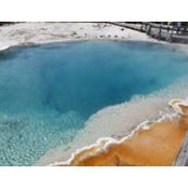 Elaine Lindh's photo
