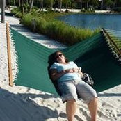 Vanessa Basketter's photo