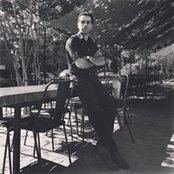Mehrdad Tehranchi's photo